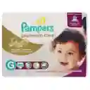 Pampers Panal Infantil Premium Care G