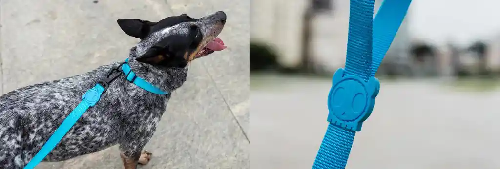 Collar Perro Zee.dog Ultimate Blue Medium