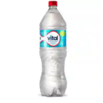 Agua Vital 1,6 Lt