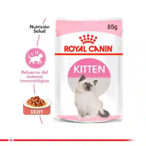 Royal Canin Alimento Para Gato in Gravy