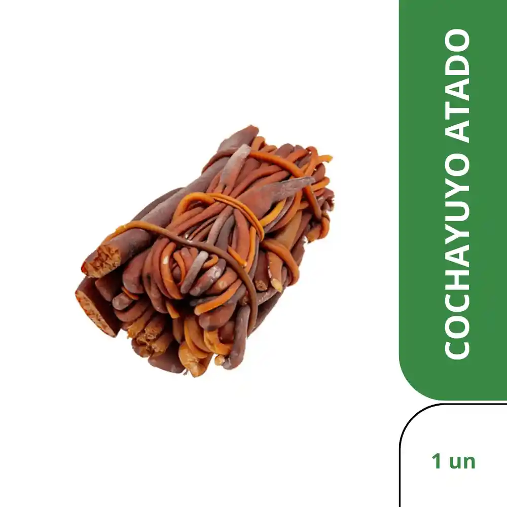 Cochayuyo Atado