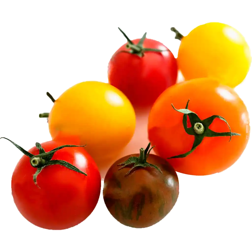 Tomate Cocktail Variedades Granel