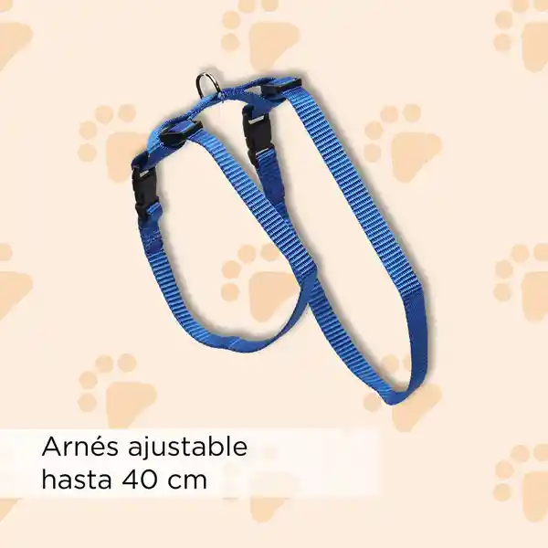 Arnés y Correa Para Gato Miniso