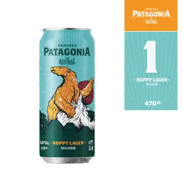 Patagonia Sixpackhoppy Lager