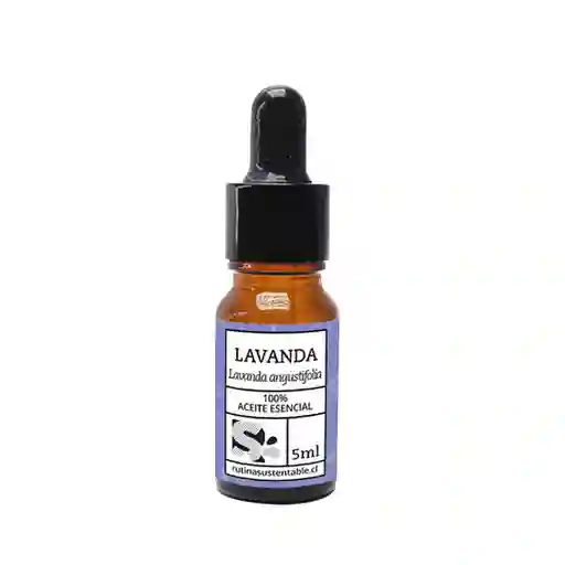 Rutina Sustentable Aceite Esencial Lavanda