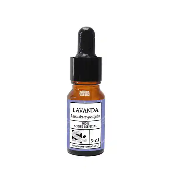 Rutina Sustentable Aceite Esencial Lavanda