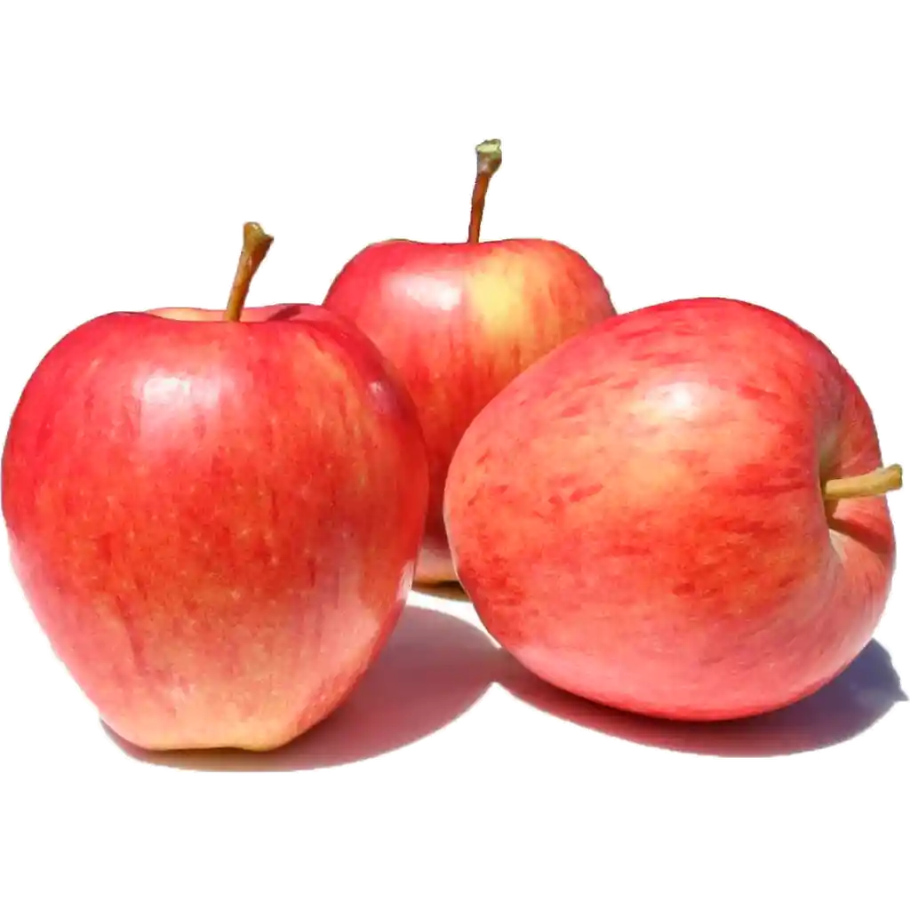 Manzana Royal Gala Exportación 