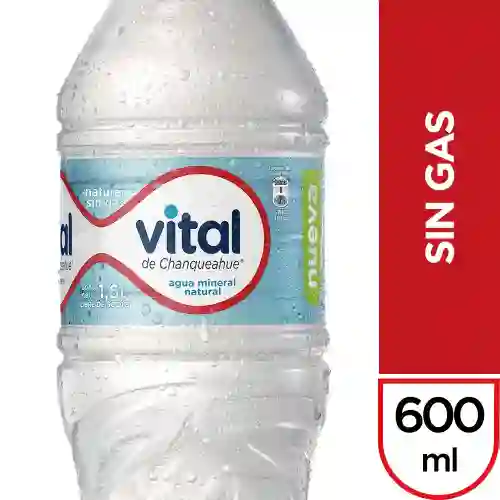 Agua Mineral Vital Sin Gas 600 Cc