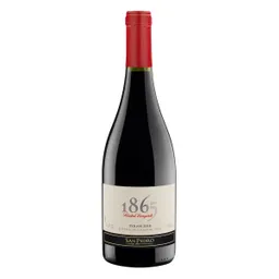 1865 Vino Syrah Res Bot