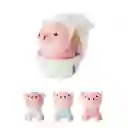 Miniso Peluche Sorpresa