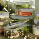 Hermetico Rectangular Biokips R4