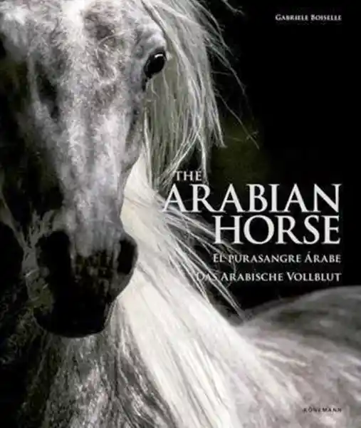 The Arabian Horse - Gabriele Boiselle