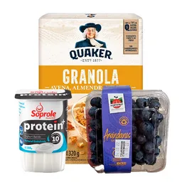 Combo Yogurt Protein Natural + Arándano + Quaker Granola Miel