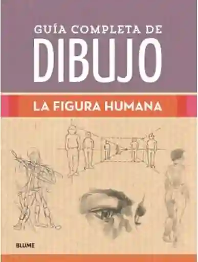 Guía Completa de Dibujo la Figura Humana