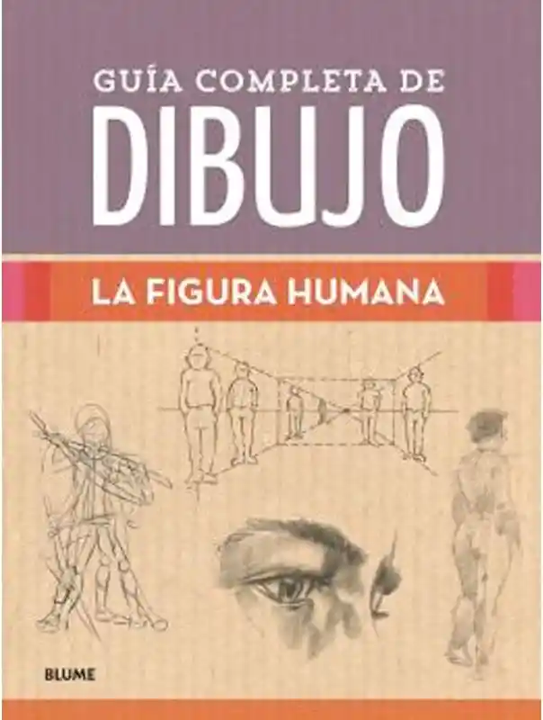 Guía Completa de Dibujo la Figura Humana