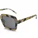 Lentes de Sol Celine Cheetah Inztinto