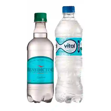 Agua Mineral con Gas 500 ml
