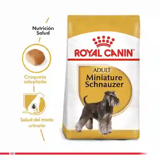 Royal Canin Alimento Para Perro Adulto Miniature Schnauzer Adult
