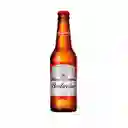 Budweiser Cerveza Lager