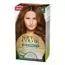 Soft Color Coloración Capilar Tono 67 Chocolate