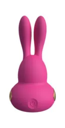 Kama Sutra Vibrador Bunny Chari Pink