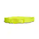 Zee.Dog Collar Neopro Green Small