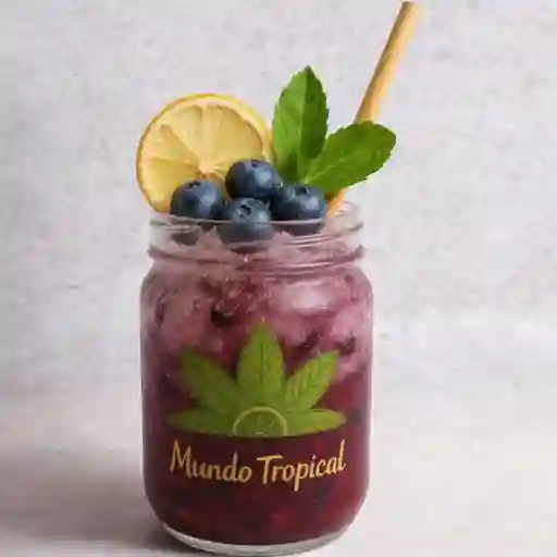 Mojito sin alcohol  Mojito Arándanos   ½ Litro