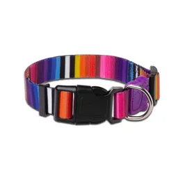 Buddy Pet Collar Estilo TM-L D2.