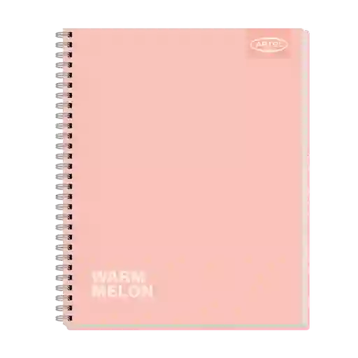 Artel Cuaderno Universitario 100 Hojas Pastel 7 mm