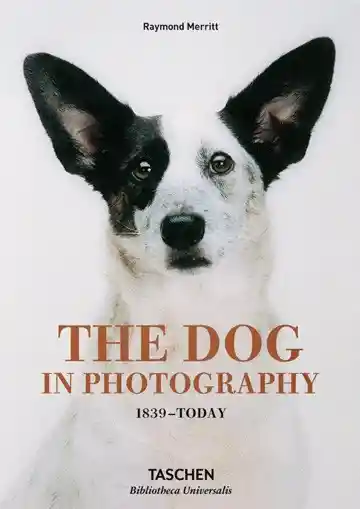The Dog In Photography 1839. Today