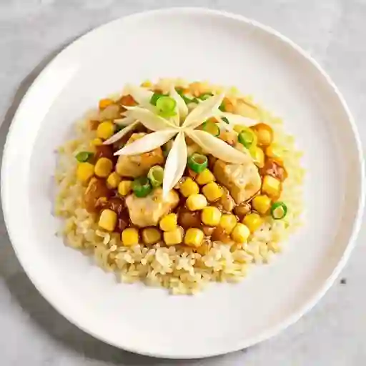 Poke Gohan Pollo (Mini Gohan)