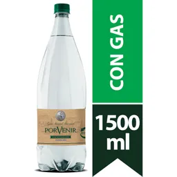 Porvenir Agua Mineral Con Gas