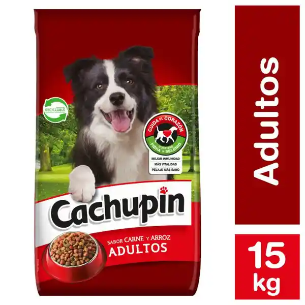 Alimento Perro Adulto Carne y Arroz