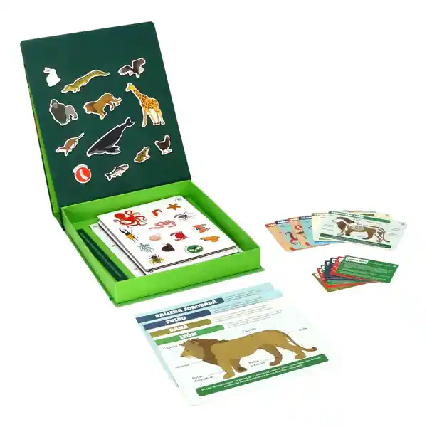 Kit Juguete Magnéticos Mundo Animal