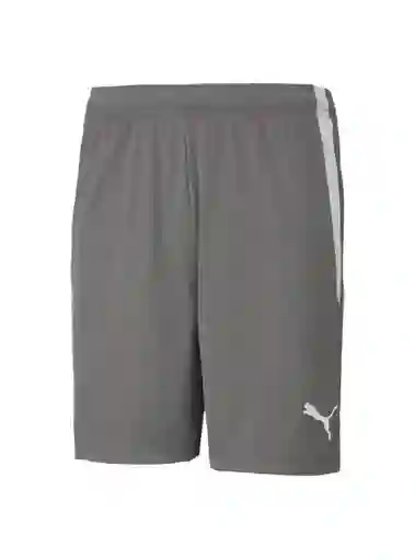 Puma Short Teamliga Gris L 704924 13