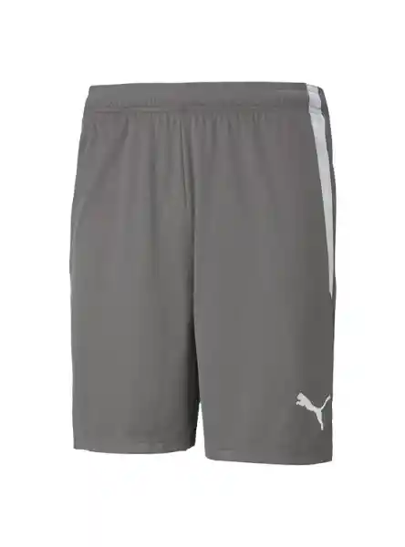 Puma Short Teamliga Gris L 704924 13