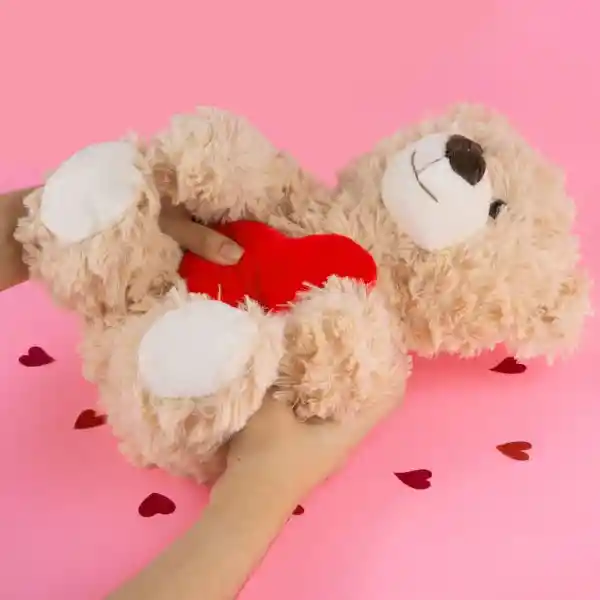 Peluche 19 x 27 cm Miniso