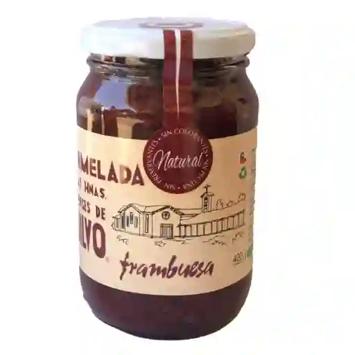 Quilvo Mermelada de Frambuesa