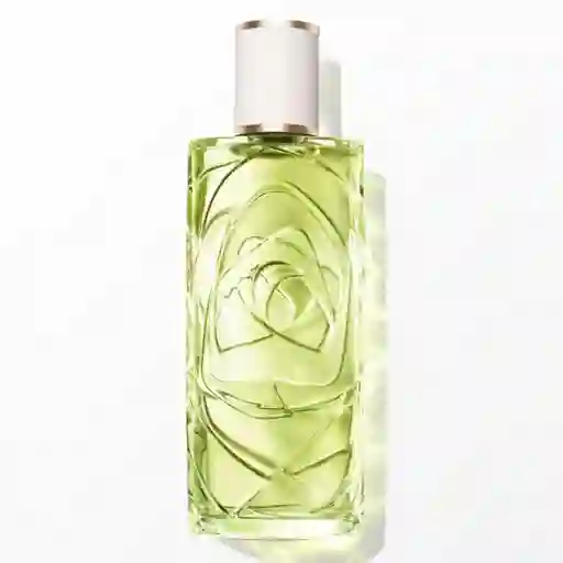 Lancome Fragancia Odl Off Now V