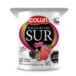 Colun Yoghurt Del Sur Frutos Del Sur