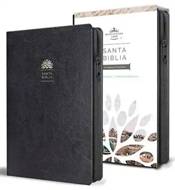 Biblia Reina Valera 1960 Letra Grande. S