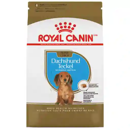Royal Canin Alimento para Perro Dachsund Cachorro