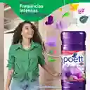 Limpiador Desinfectante de Pisos Poett Frescura de Lavanda (Botella) 1800 ml