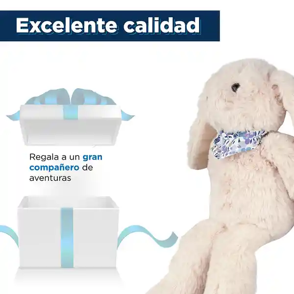 Miniso Peluche