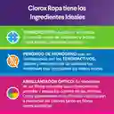 Quitamanchas Clorox Colores Vivos (Botella) 470 gr