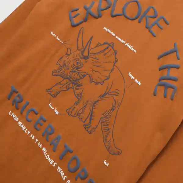 Polera Explore de Niño Pumpkin Talla 2A Colloky