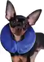 Kong Collar Isabelino Para Perro X-Small