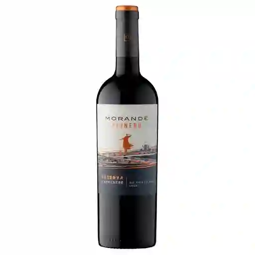 Morandé Vino Tinto Pionero Reserva Carmenere