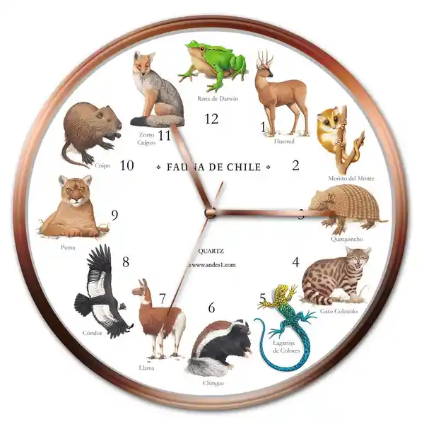 Reloj Pared Fauna Chilena