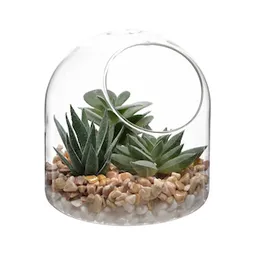 Terrario de Vidrio Con Cactus 12 cm